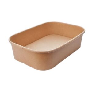 Bowl Bio Rect Carton  (171mm) 750ml Kraft 25Oz 300