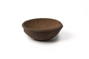 Bowl de coco 150 ml 10 Un