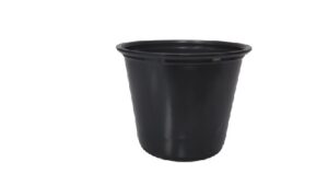Portion Cup Black 5 Oz  50 Un